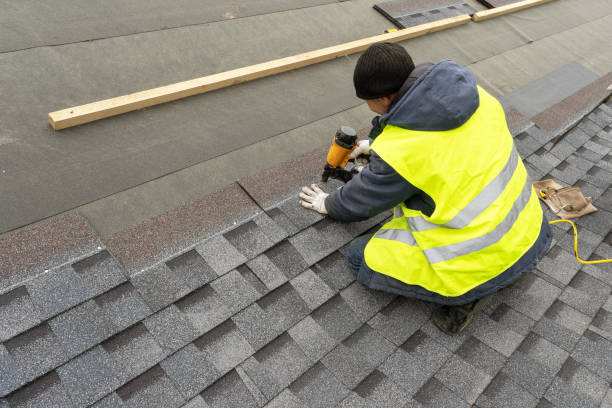 Best Gutter Installation and Roofing  in Meraux, LA