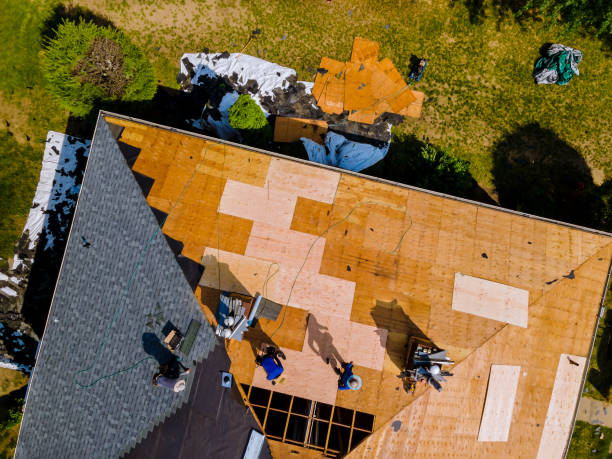 Best Metal Roofing Contractor  in Meraux, LA