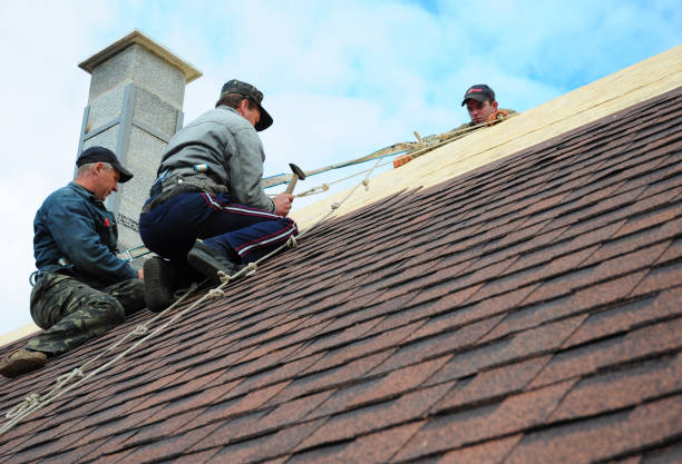 Best Roof Gutter Cleaning  in Meraux, LA